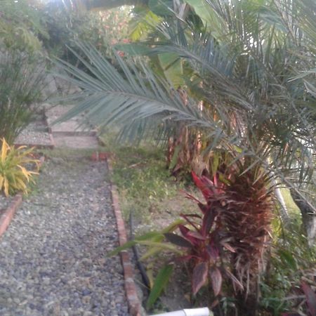 Maremonti Bed & Breakfast Puerto Lopez Bagian luar foto