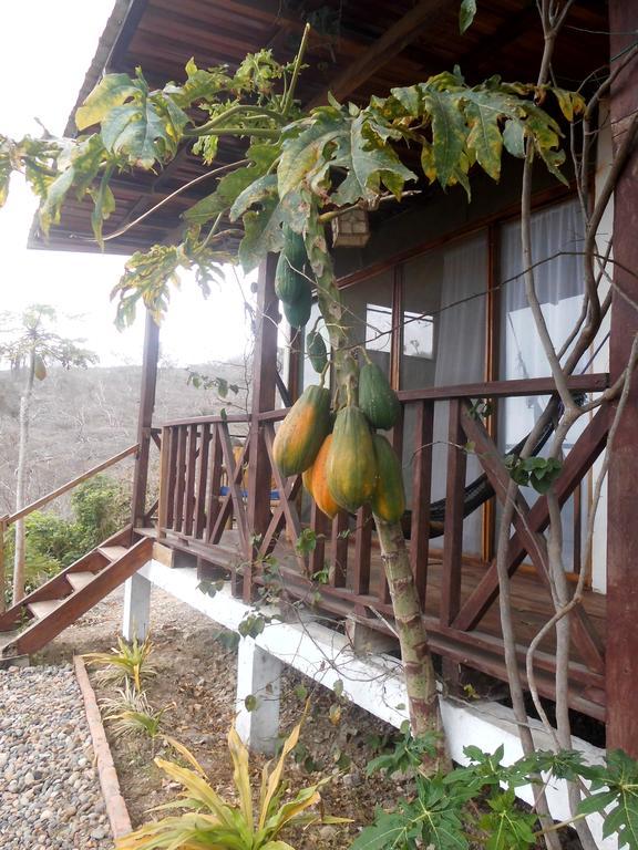 Maremonti Bed & Breakfast Puerto Lopez Bagian luar foto