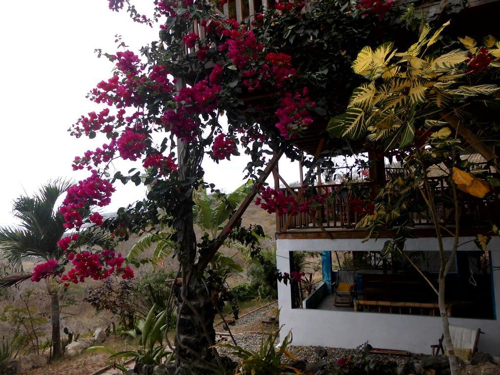 Maremonti Bed & Breakfast Puerto Lopez Bagian luar foto