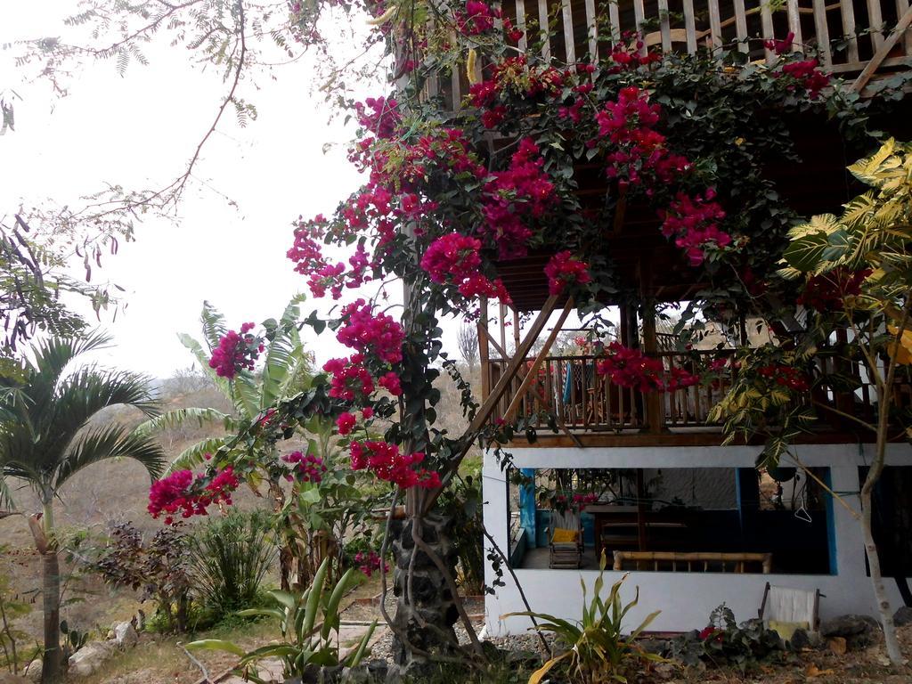 Maremonti Bed & Breakfast Puerto Lopez Bagian luar foto