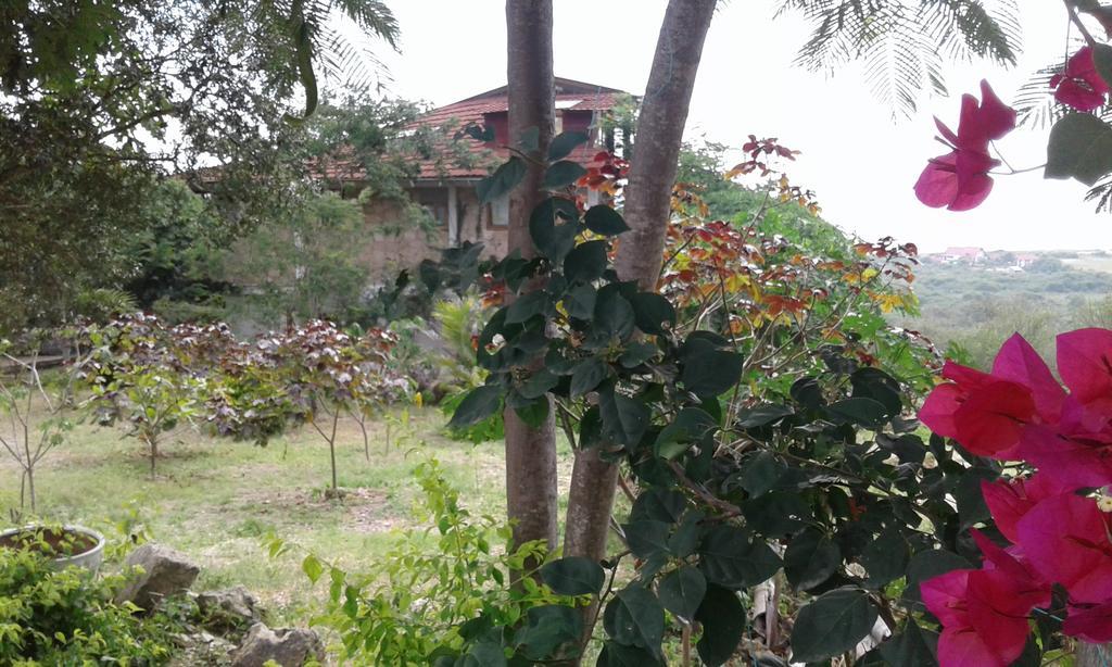 Maremonti Bed & Breakfast Puerto Lopez Bagian luar foto