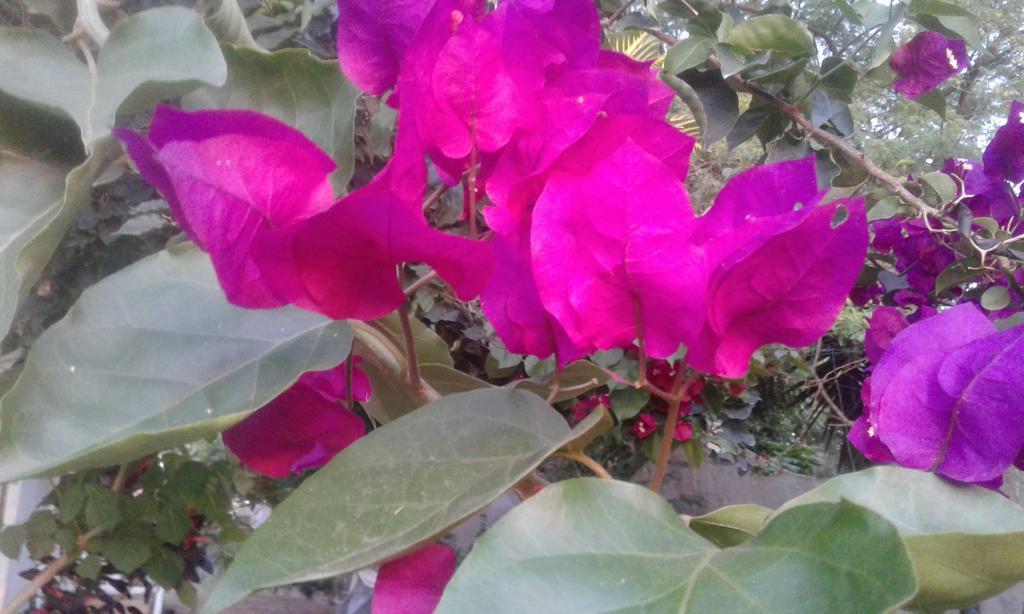 Maremonti Bed & Breakfast Puerto Lopez Bagian luar foto