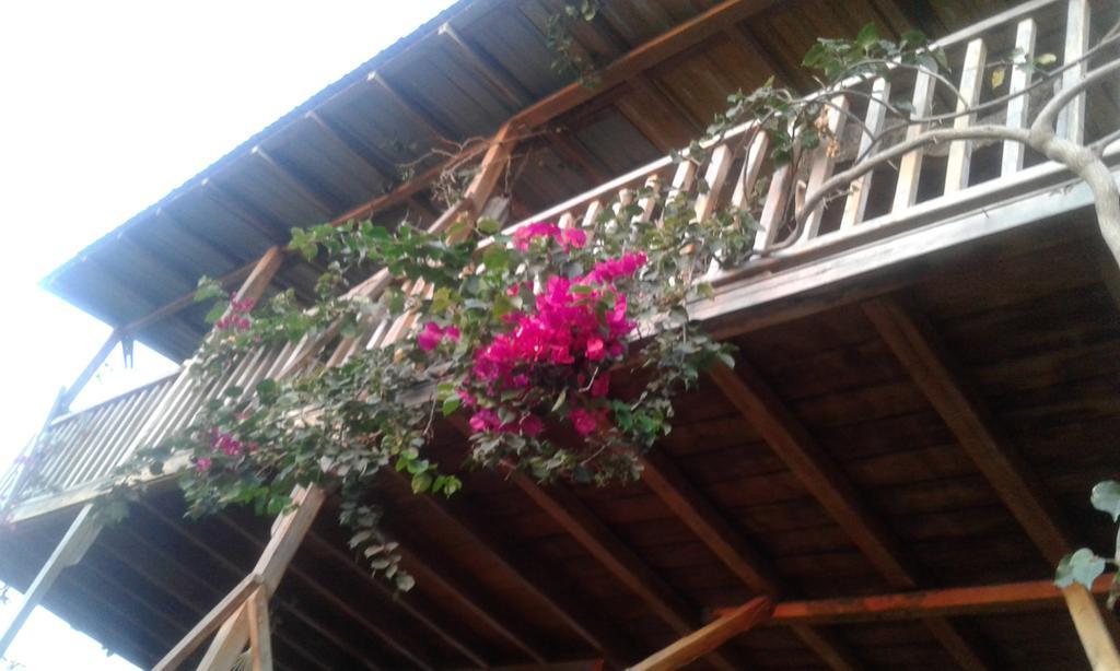 Maremonti Bed & Breakfast Puerto Lopez Bagian luar foto