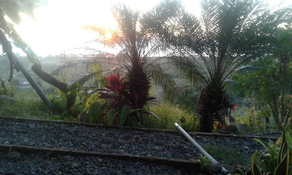Maremonti Bed & Breakfast Puerto Lopez Bagian luar foto